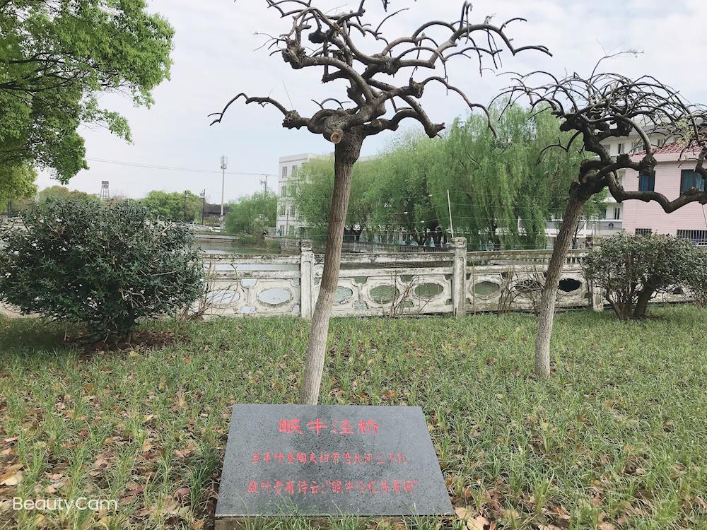 叶圣陶与我们学校