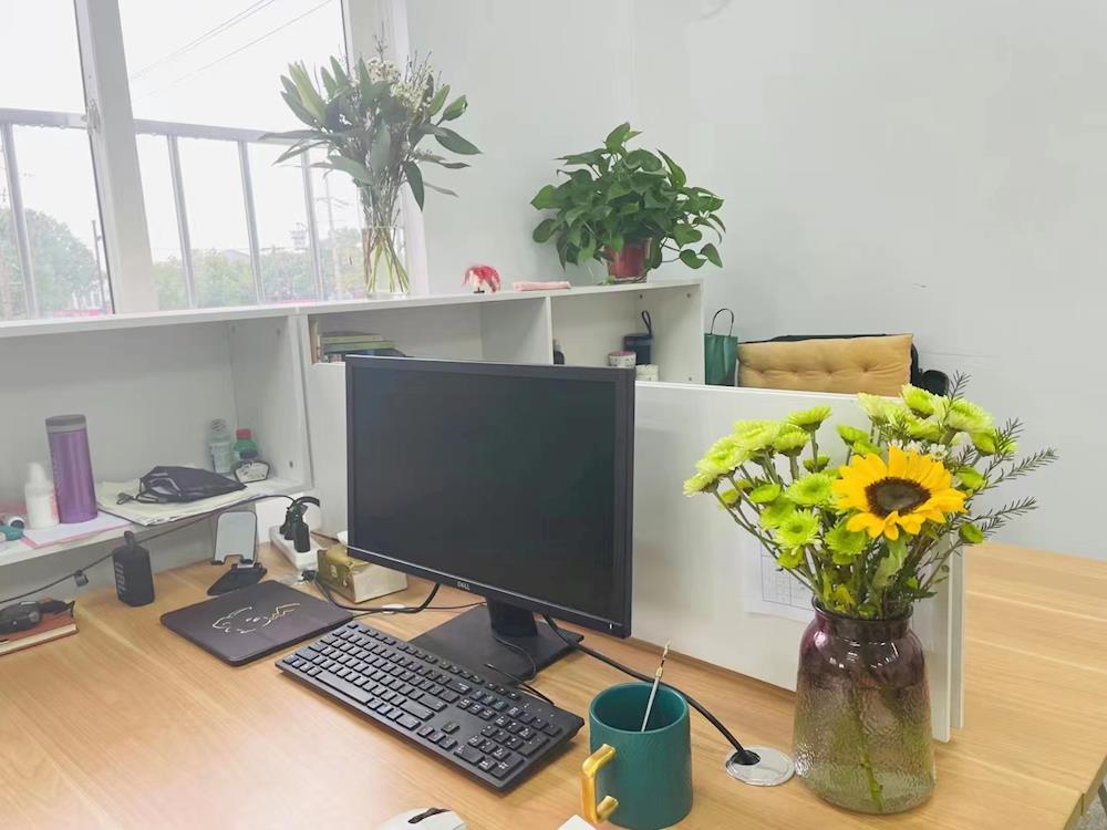 室内繁花几度红    巧手慧心庆华诞