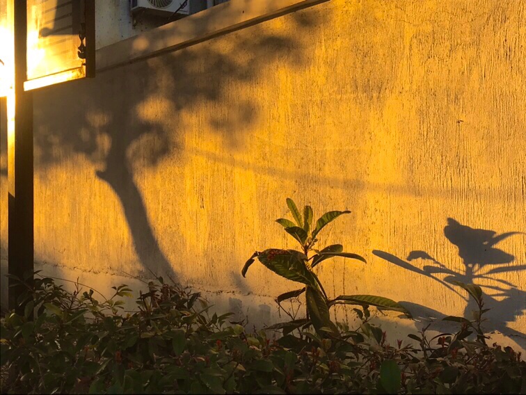 我和春天有个约会（三）