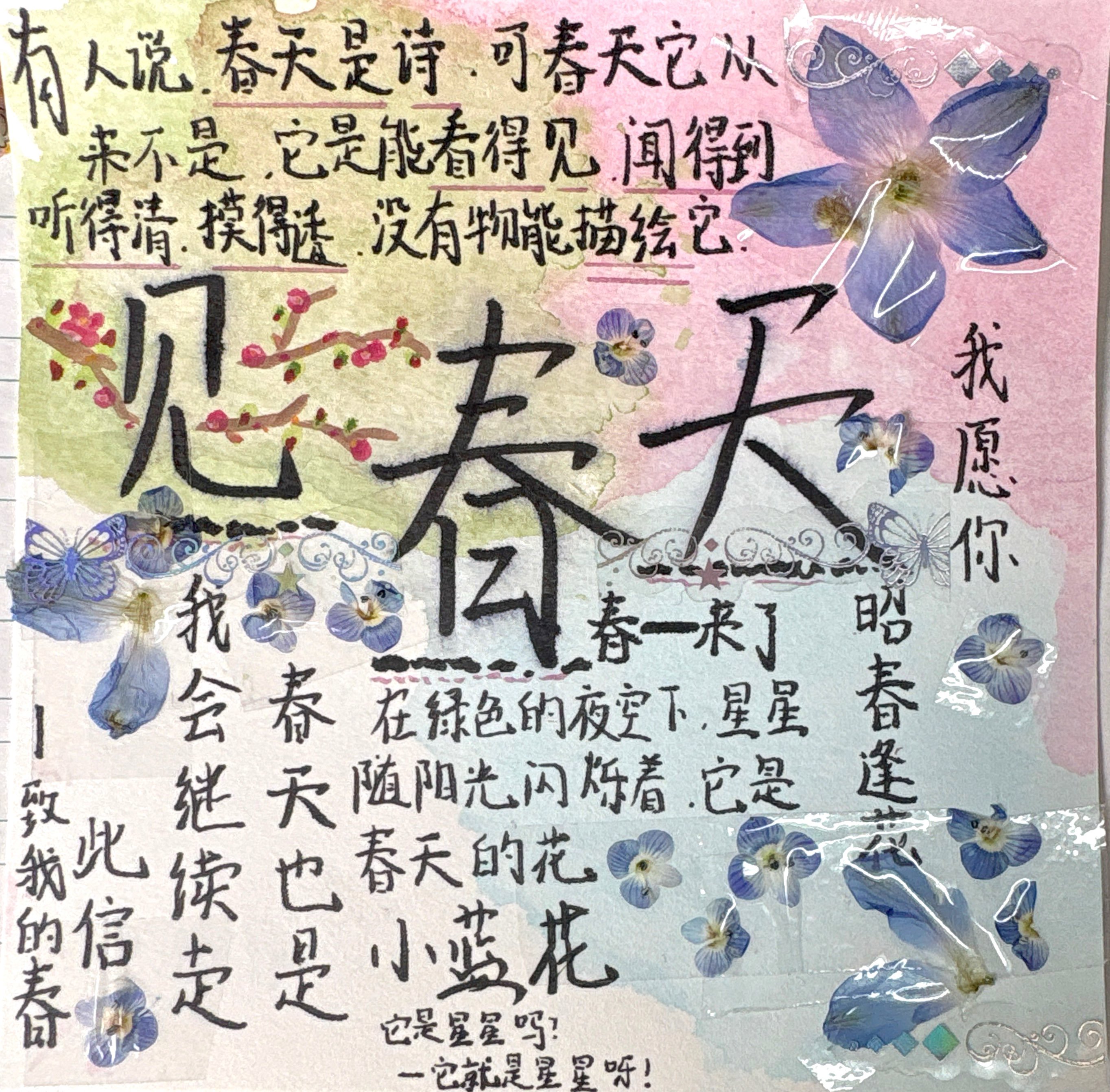 图片14