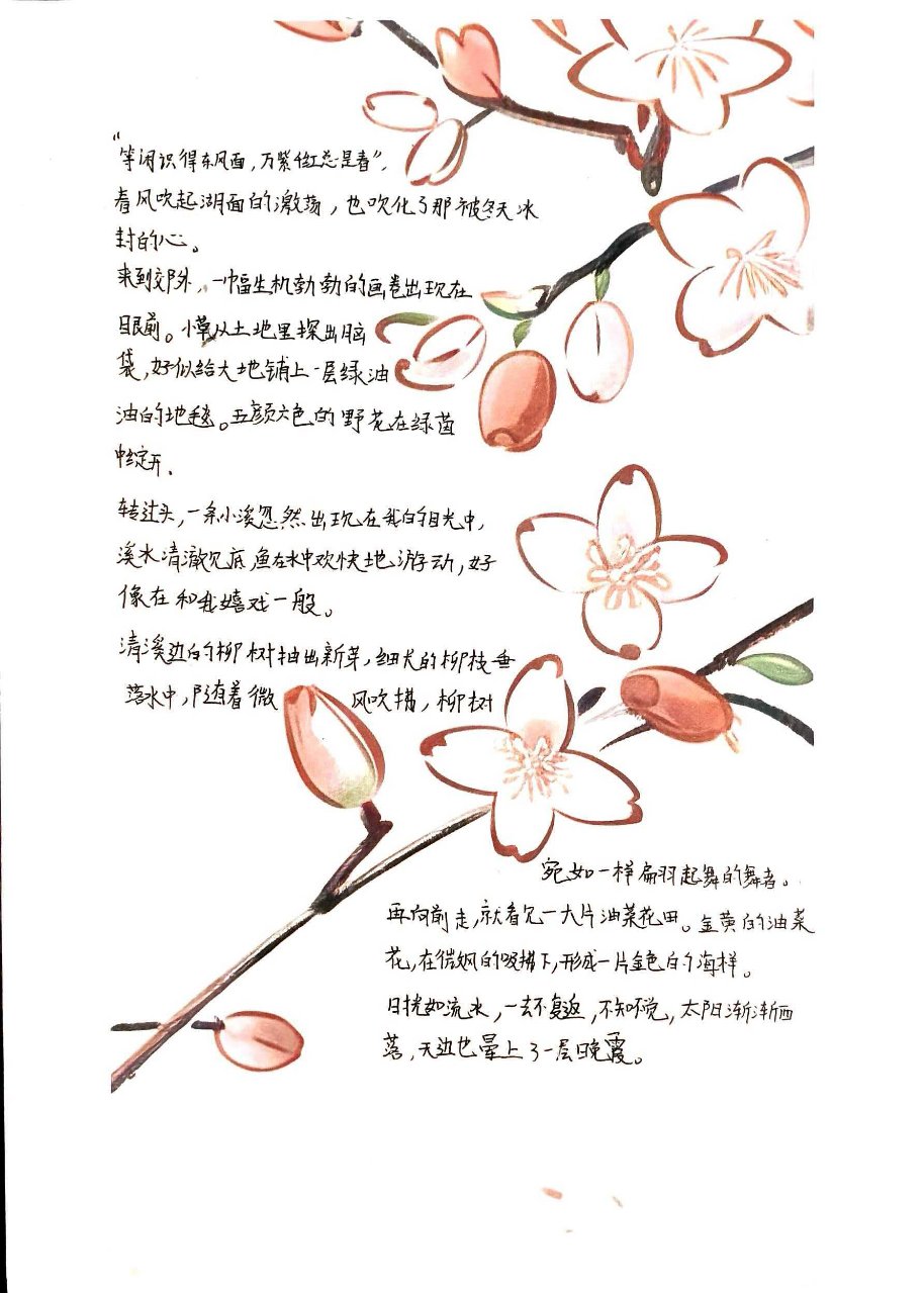 图片11